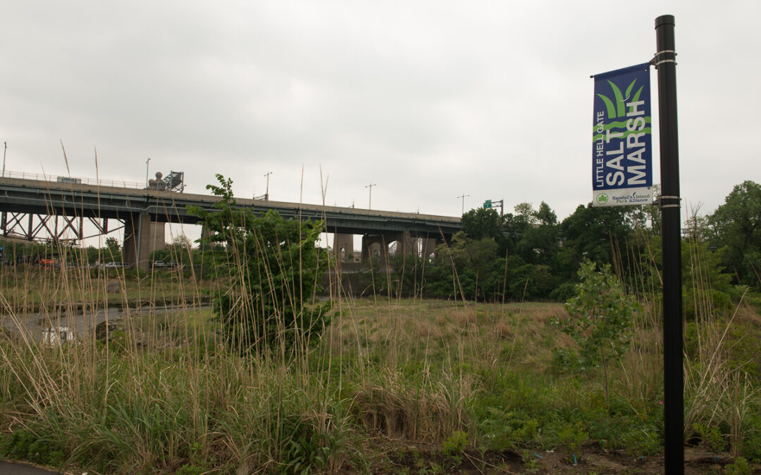 New Project | Randall’s Island Park Interpretive Panels